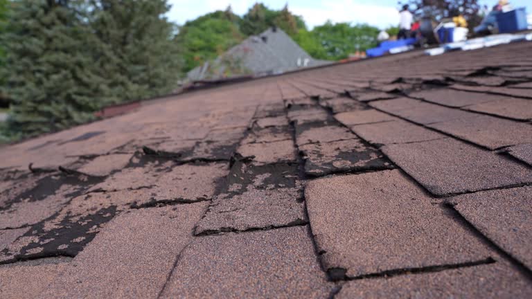 Best Wood Shake Roofing  in Day Valley, CA