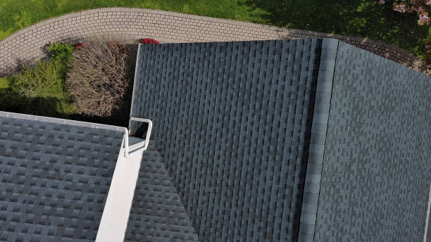 Best Roof Moss and Algae Removal  in Day Valley, CA
