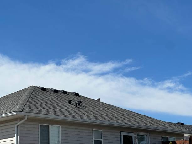 Best Green or Eco-Friendly Roofing Solutions  in Day Valley, CA